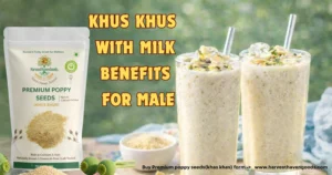 Khus khus with milk benefits for male – organic poppy seeds in a clay bowl with warm milk glass on wooden surface by HarvestHavenGoods